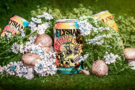 Dawn Again Can in grass