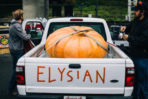 Great Pumpkin Weigh Off stock image